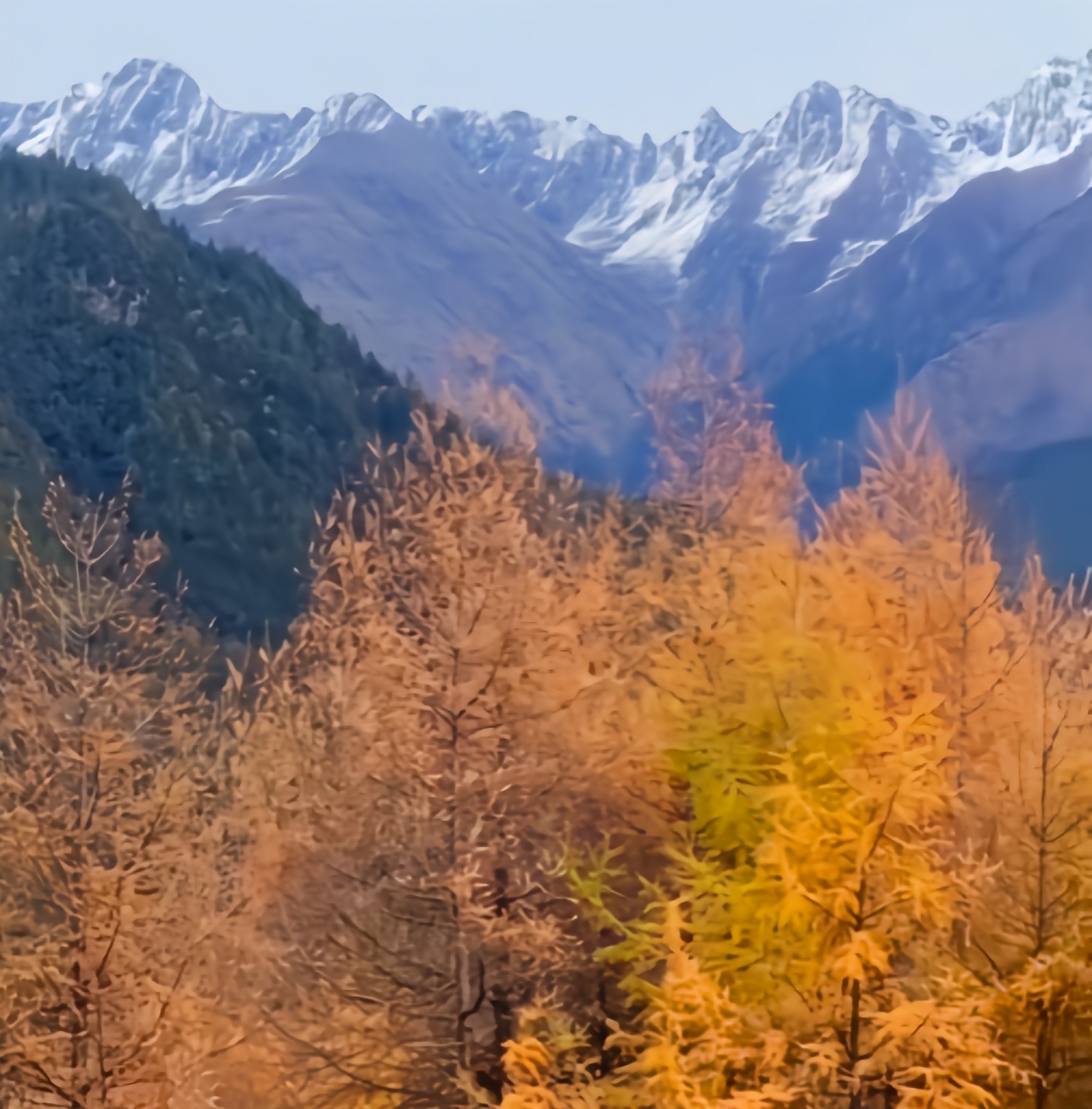 paste-20261007-125438-23.jpg